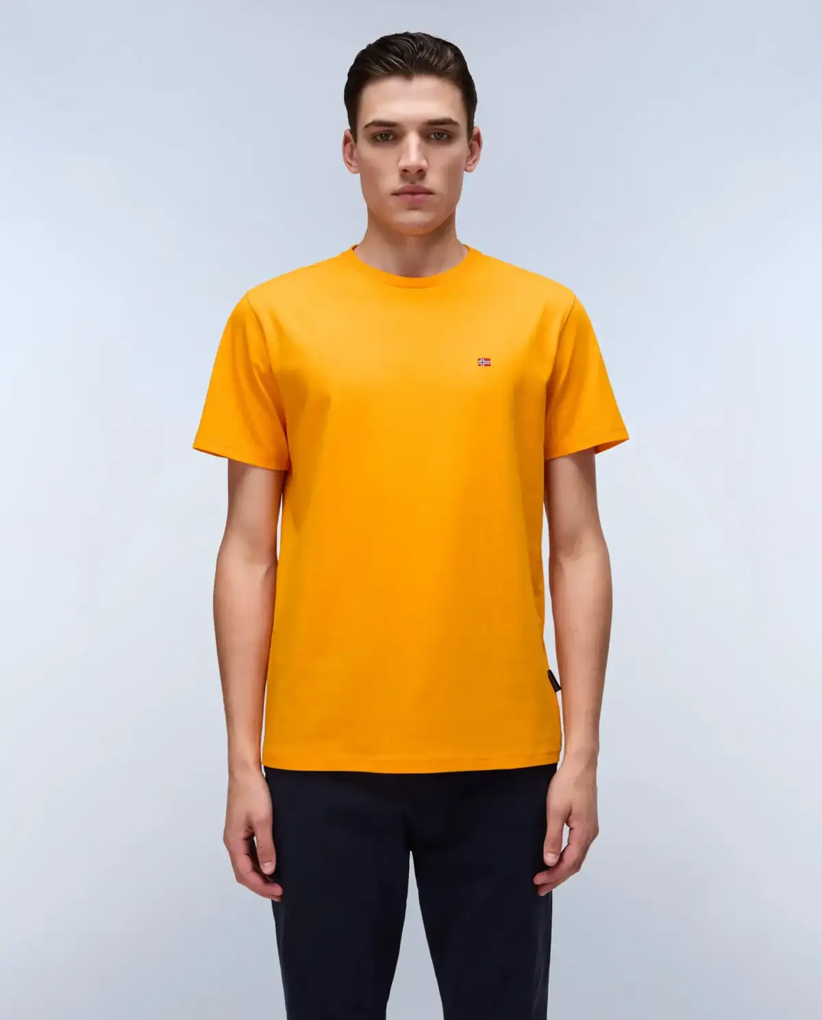 Napapijri - Ανδρικό T-shirt Salis Ss Sum Regular Fit NP0A4H8D-A67 Πορτοκαλί