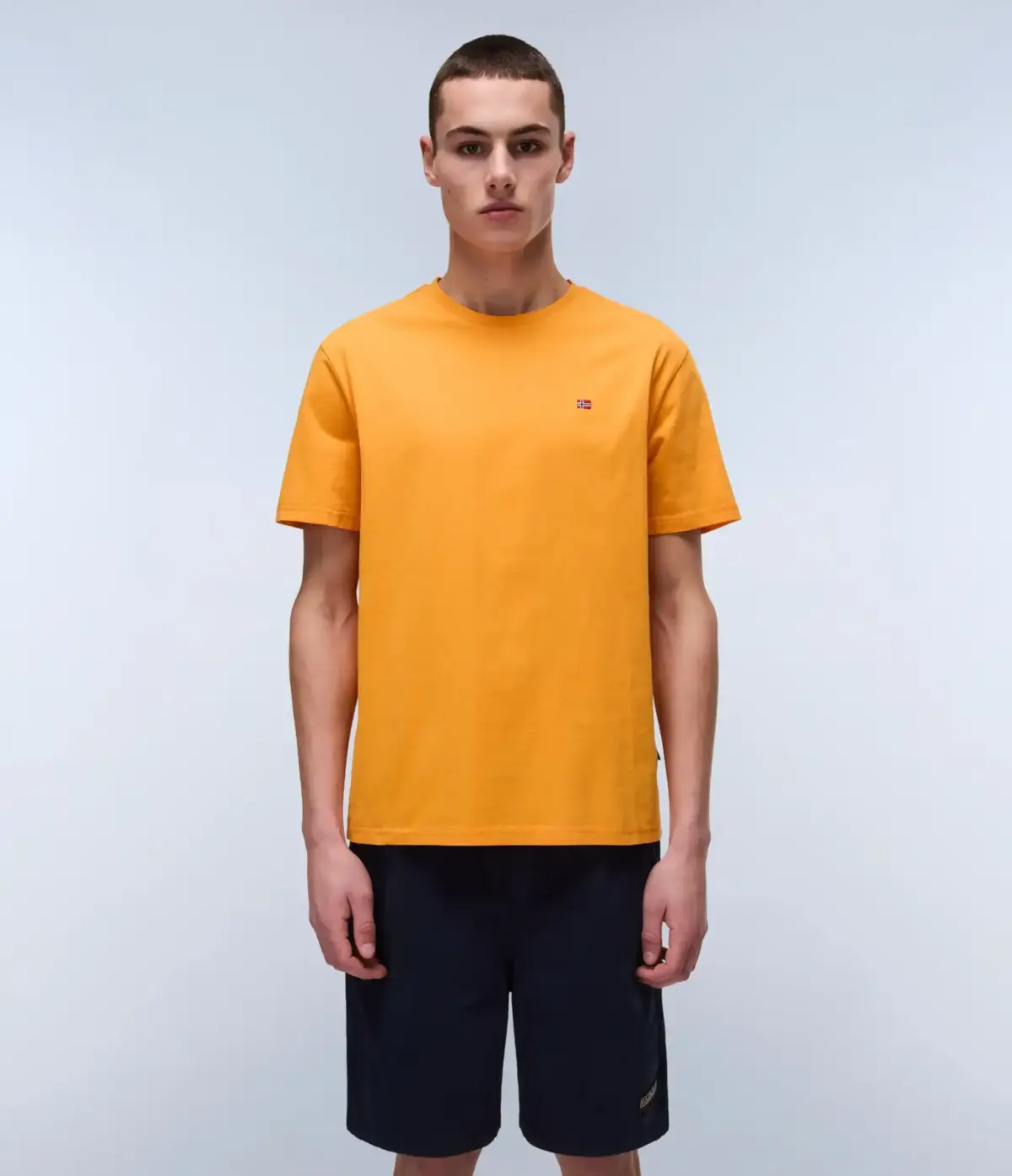 Napapijri - Ανδρικό T-shirt Salis Ss Sum Regular Fit NP0A4H8D-A70 Πορτοκαλί