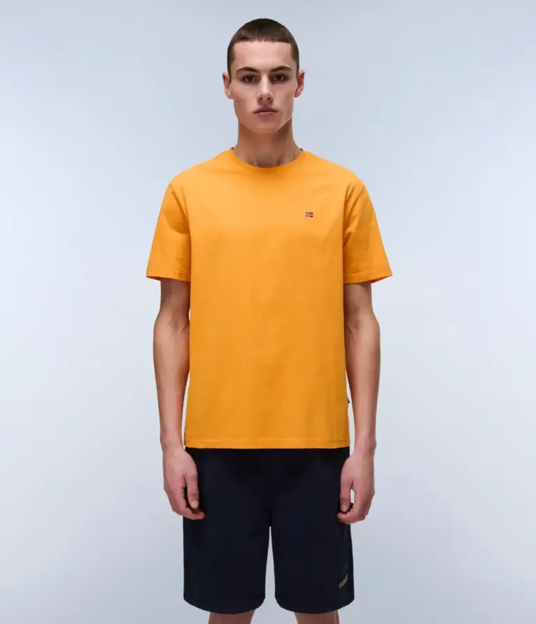Napapijri - Ανδρικό T-shirt Salis Ss Sum Regular Fit NP0A4H8D-A70 Πορτοκαλί