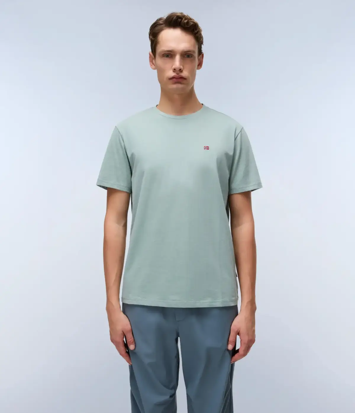 Napapijri - Ανδρικό T-shirt Salis Ss Sum Regular Fit NP0A4H8D-G1X Πράσινο