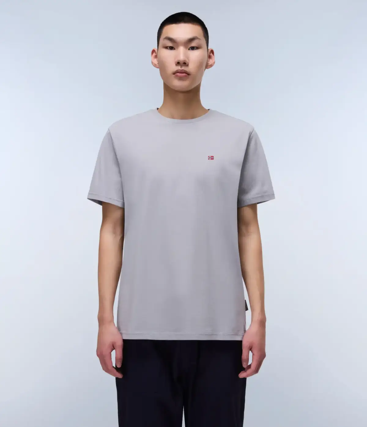 Napapijri - Ανδρικό T-shirt Salis Ss Sum Regular Fit NP0A4H8D-H62 Γκρι