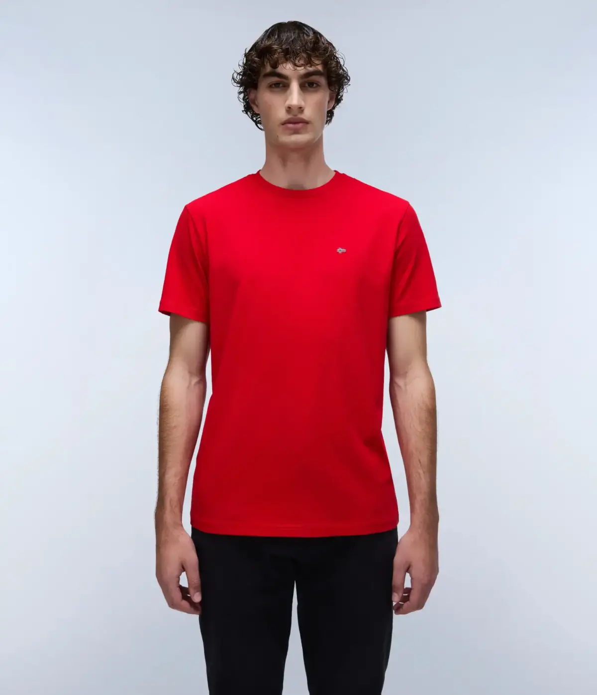 Napapijri - Ανδρικό T-shirt Salis Ss Sum Regular Fit NP0A4H8D-R06 Κόκκινο