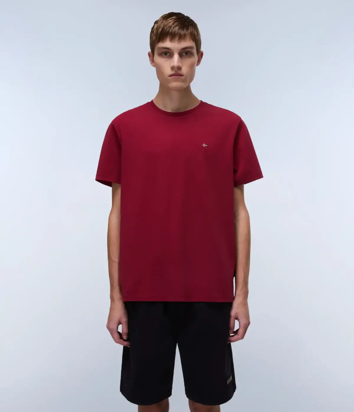 Napapijri - Ανδρικό T-shirt Salis Ss Sum Regular Fit NP0A4H8D-R1E Μπορντό