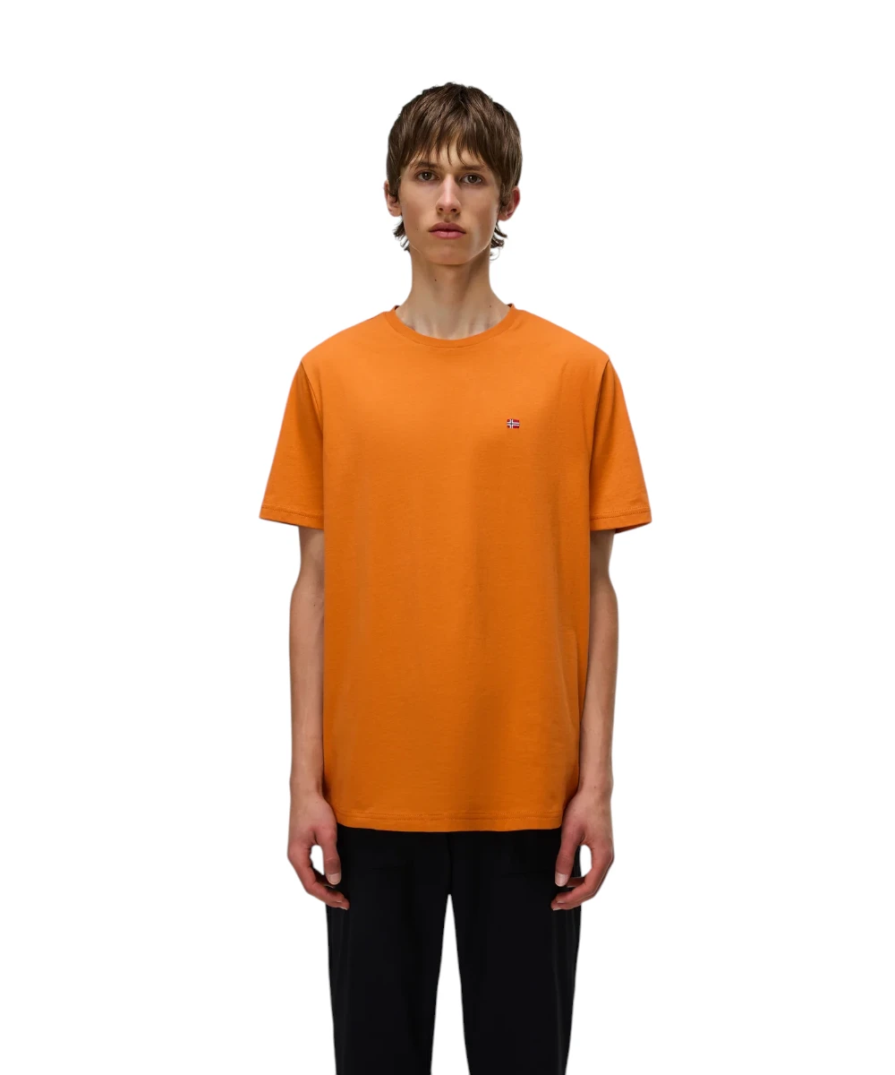 Napapijri - Ανδρικό T-shirt Salis Ss Sum Regular Fit NP0A4H8D-A68 Πορτοκαλί